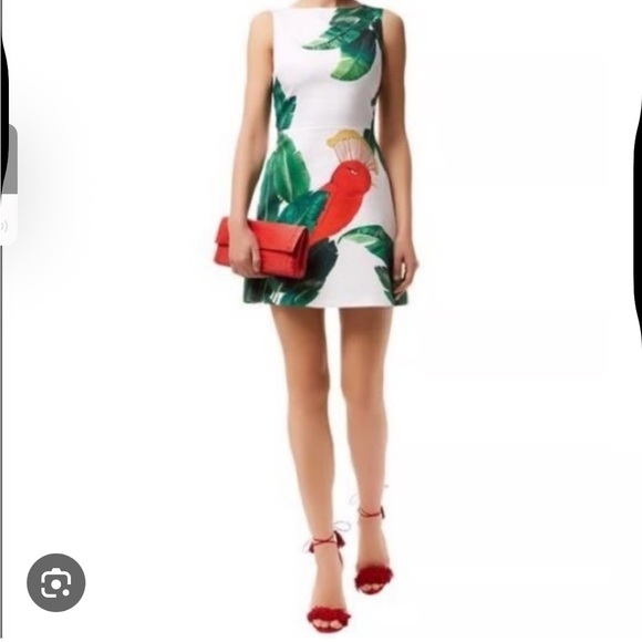 Alice + Olivia Dresses & Skirts - NEW $595 Alice + Olivia Red and Green Leaf Print Parrot Dress 10 Malin Bird Palm